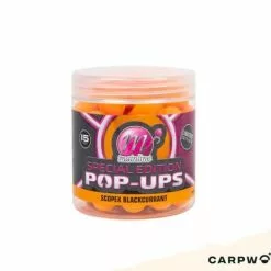 Mainline Scopex & Blackcurrant Special 15mm Pop Up