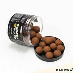 Nash Scopex Squid Wafters